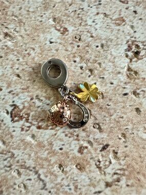 6/$45 Charm with Compatible w/Pandora Jewelry NEW